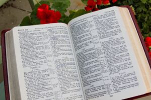bible, open, book