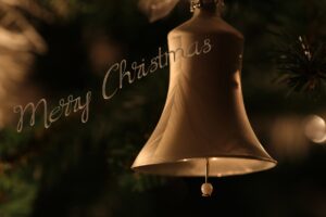 christmas, christmas tree, ornament